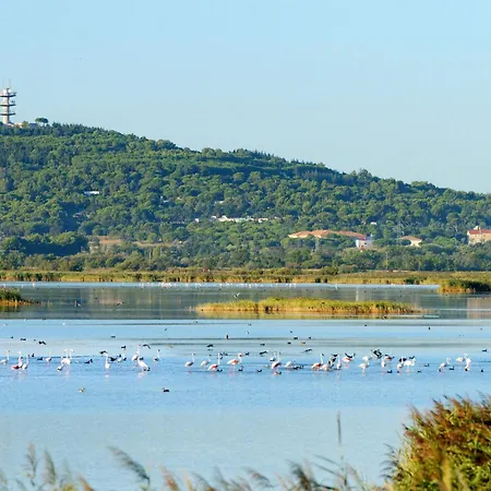 De La Plage-4 By Interhome Appartement